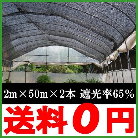 遮光ネット 黒 2m×50m×2本セット 100m 遮光率65％ 日よけネット 日除け 
