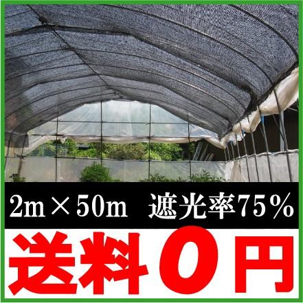 遮光ネット 黒 2m×50m 遮光率75％ 日よけネット 日除けネット 農業用