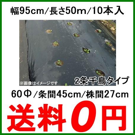 穴あきマルチ 黒マルチ 有孔マルチ 幅95cm 長さ50m 株間270mm 孔60f 10本セット 9227マルチシート マルチング 家庭菜園 園芸 農業 資材 ガーデニング Shinsei S S Net 通販 Yahoo ショッピング