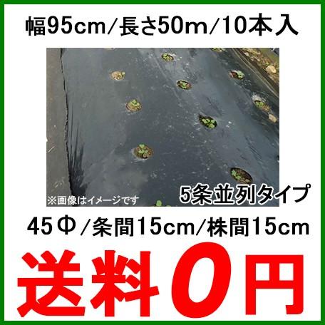 穴あきマルチ 黒マルチ 有孔マルチ 幅95cm 長さ50m 株間150mm 孔45Φ 10