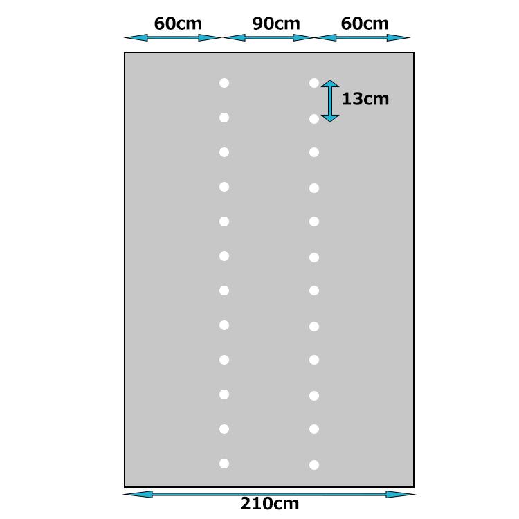 農PO 穴あきトンネルフィルム 2孔 2.1×5m 0.05mm厚 クリア 農業用