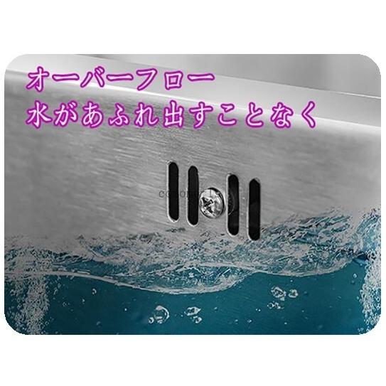 谷村 屋外 流し台 ガーデンシンク ステンレス製 流台 Wシンク 