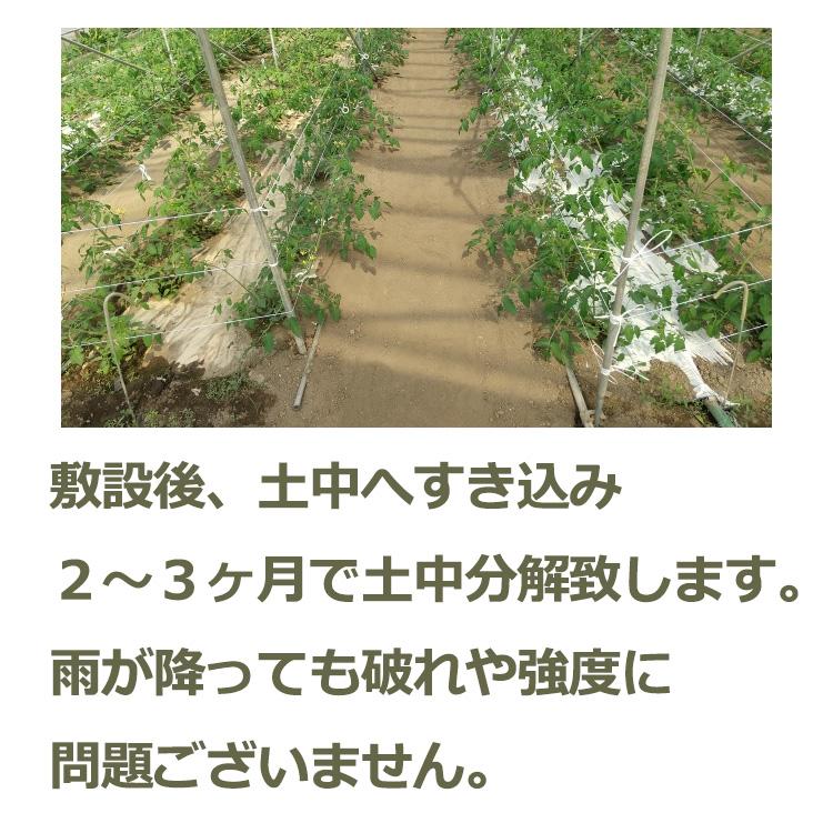 紙マルチ 95cm×200m マルチシート 農業用 資材 黒 OJIサステナマルチ