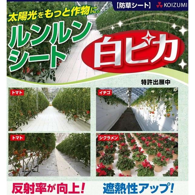 法人様限定】小泉製麻 高反射 防草シート ルンルンシート白ピカ 100cm