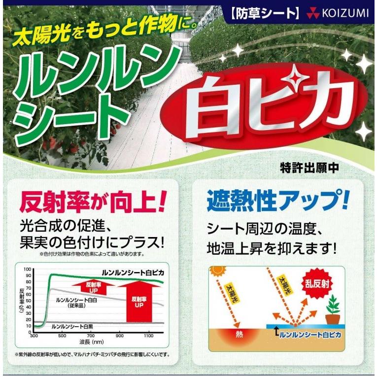 法人様限定】小泉製麻 高反射 防草シート ルンルンシート白ピカ 150cm 