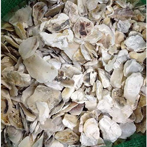 タカラ工業 池 ろ過材 牡蠣殻 濾過材 シェルフィルター 1kg 天然 鯉 金魚 ph調整剤 天然 水 濾過器 濾過装置 ペーハー調整剤 安全 | タカラ工業 | 01