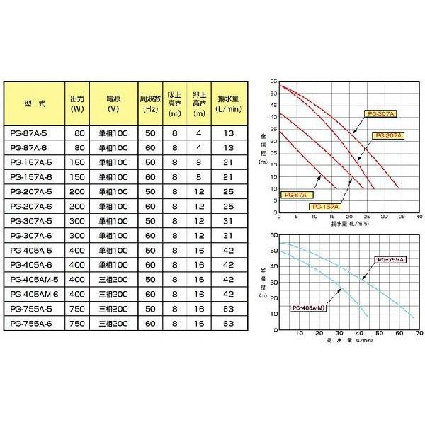 テラル 井戸ポンプ 浅井戸ポンプ ホームポンプ 家庭用給水ポンプ 電動ポンプ PG-407A-5 PG-407A-6 400W/100V｜ssnet｜03