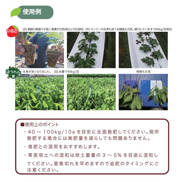 土壌改良器 Amazon.co.jp: 高儀(Takagi) 簡易土壌酸度計 水分測定機能付き 野菜