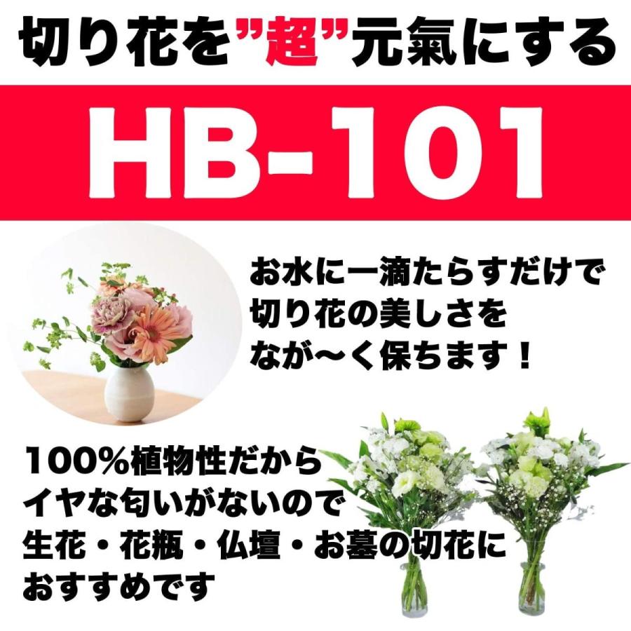 フローラ HB-101 100cc 6本セット 植物 活力剤 天然 活性液 原液 栄養