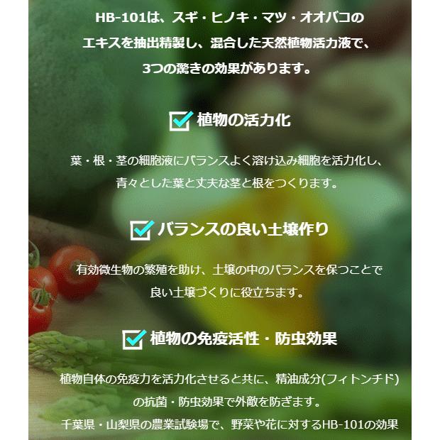 フローラ HB-101 100cc 6本セット 植物 活力剤 天然 活性液 原液 栄養