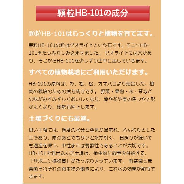 フローラ HB-101 300g 顆粒タイプ 粒状 植物 活力剤 天然 活性剤 栄養剤 野菜 果物 有機栽培 園芸 ガーデニング 農業 芝生｜ssnet｜03