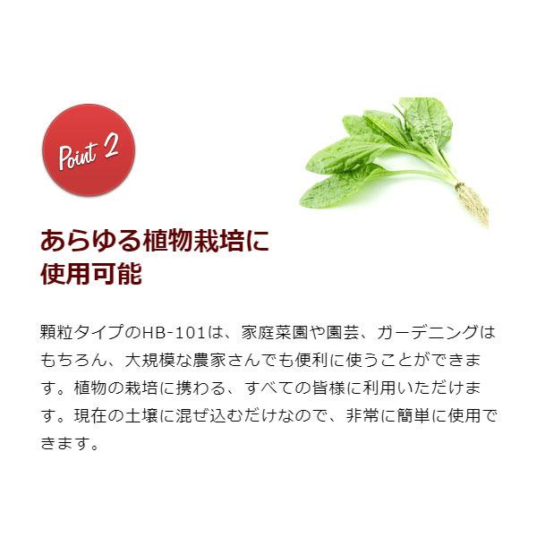 フローラ HB-101 300g 顆粒タイプ 粒状 植物 活力剤 天然 活性剤 栄養剤 野菜 果物 有機栽培 園芸 ガーデニング 農業 芝生｜ssnet｜07