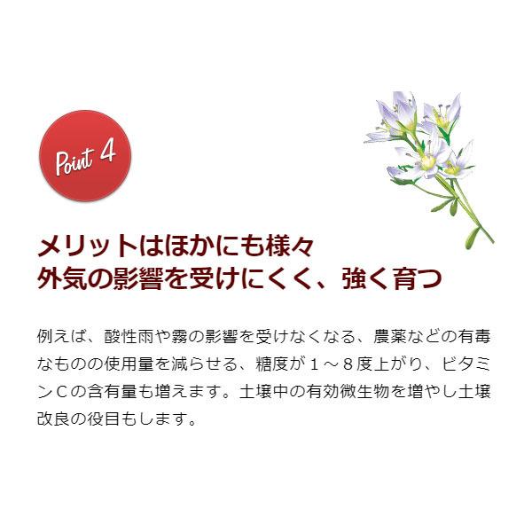 フローラ HB-101 300g 顆粒タイプ 粒状 植物 活力剤 天然 活性剤 栄養剤 野菜 果物 有機栽培 園芸 ガーデニング 農業 芝生｜ssnet｜09