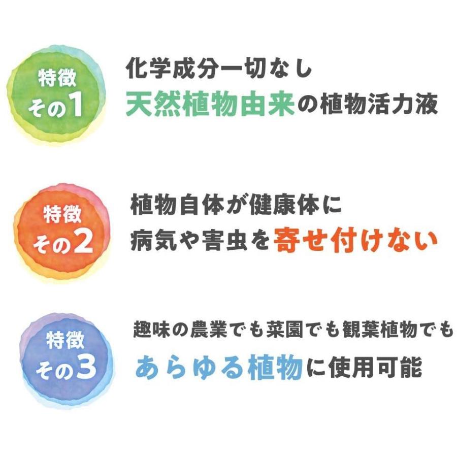 フローラ HB-101 20L 植物 活力剤 天然 活性液 原液 栄養剤 野菜 果物 有機栽培 園芸 ゴルフ場 農業 芝生｜ssnet｜06