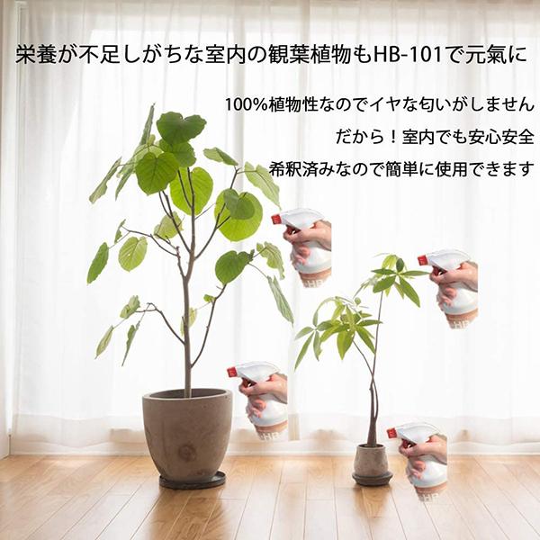フローラ HB-101 1L 希釈済み そのまま使えるタイプ 植物 活力剤 天然 