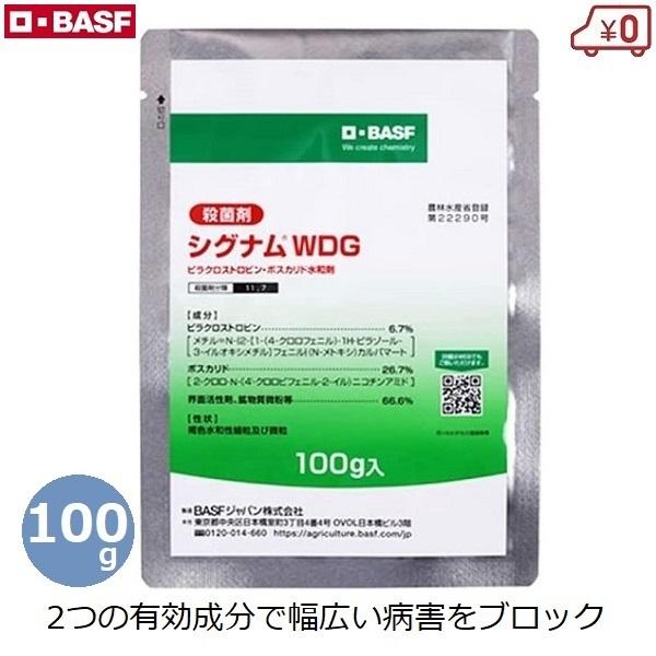 殺菌剤 シグナムwdg 100g 粒剤 病害予防 対策 灰色腐敗病 灰色かび病 菌核病 べと病 さび病 野菜 菜園 防除剤 農薬 農作物 Basf