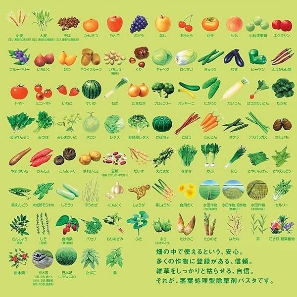 バスタ 除草剤 除草液 500ml 20本セット 希釈タイプ 散布 噴霧 畑 果園 畦 水田 稲 雑草対策 家庭菜園 庭 駐車場_3