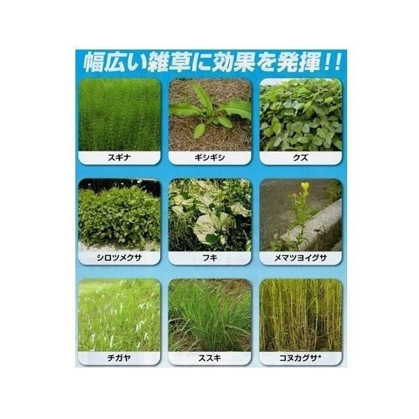 除草剤 タッチダウンiQ 除草液 500ml 20本セット 高濃度 噴霧 雑草