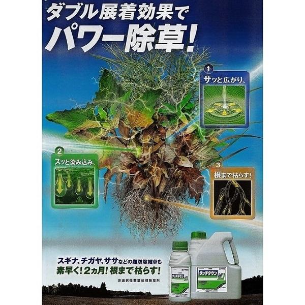 タッチダウンiQ 除草剤 除草液 500ml 高濃度 噴霧 雑草 スギナ ツユクサ 竹 ササ 畑 畦 水田 庭 駐車場 墓 シンジェンタ verde4543887404432S.S
