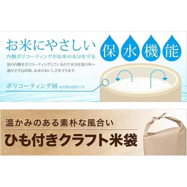 米袋 5kg用 20枚セット 窓付き 紐付き クラフト紙 角底 農家のお米 米