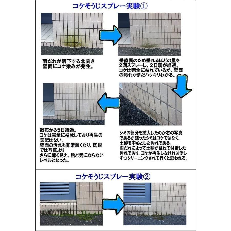 コケそうじ濃縮液 2L 4本セット コケ 除去 外壁 こけ 苔 駆除剤 イシクラゲ いしくらげ パネフリ 