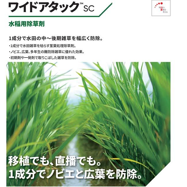 人気のファッションブランド!人気のファッションブランド!クリンチャーバスME 500ml 40本水稲用中期除草剤 日本農薬 園芸薬剤・植物活性剤 クリンチャー1キロ粒剤 1kg 水稲用中期除草剤 ノビエ特化 農薬