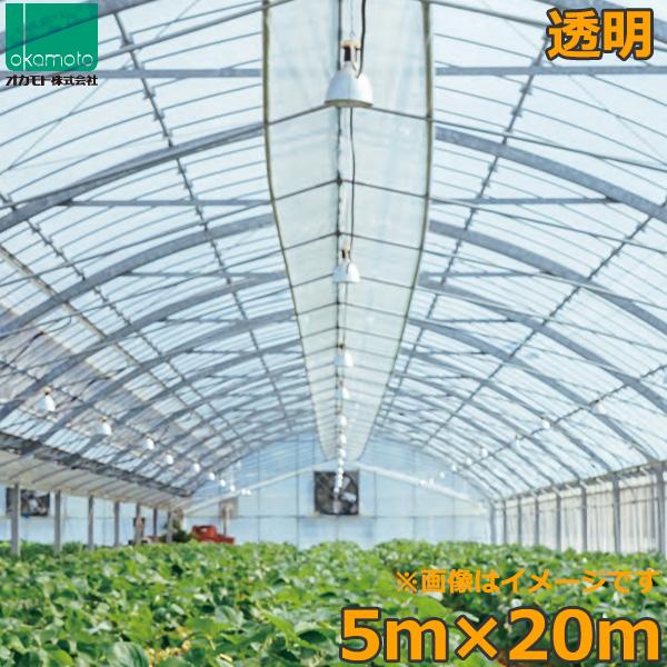 ビニールハウス 農ビ 透明 5×20m 0.1mm厚 トンネルシート フィルム