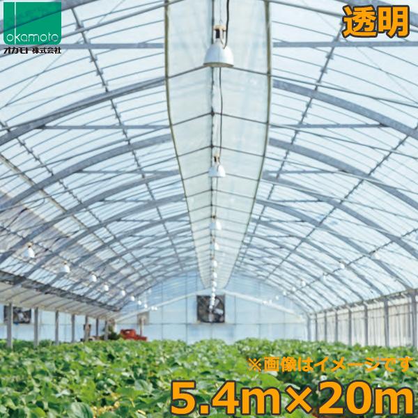 ビニールハウス 農ビ 透明 5.4×20m 0.1mm厚 トンネルシート フィルム