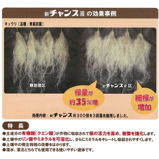 活力剤 新チャンス液 20kg 根 育成促進 根張り強化 クエン酸 液肥 液体