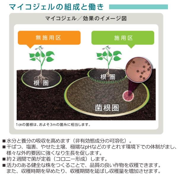 ハイポネックス マイコジェル 250ml 高濃度菌根菌 活性 ジェル状 ハイポネックス マイコジェル 250ml 高濃度菌根菌 活性 ジェル状