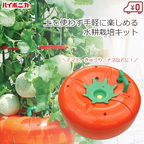 水耕栽培キット 家庭用 家庭菜園 水耕栽培 セット 屋内 水耕栽培キット 家庭用 家庭菜園 水耕栽培 セット 屋内