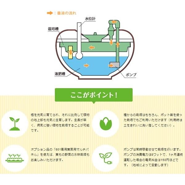 水耕栽培キット 家庭用 家庭菜園 水耕栽培 セット 屋内 水耕栽培キット 家庭用 家庭菜園 水耕栽培 セット 屋内