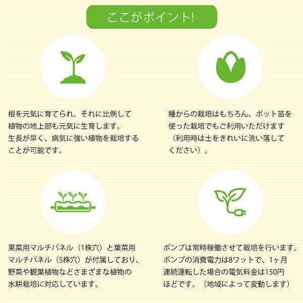 水耕栽培キット 家庭用 家庭菜園 水耕栽培 セット 室内 屋内 野菜 ガーデニング ホームハイポニカMASUCO_2