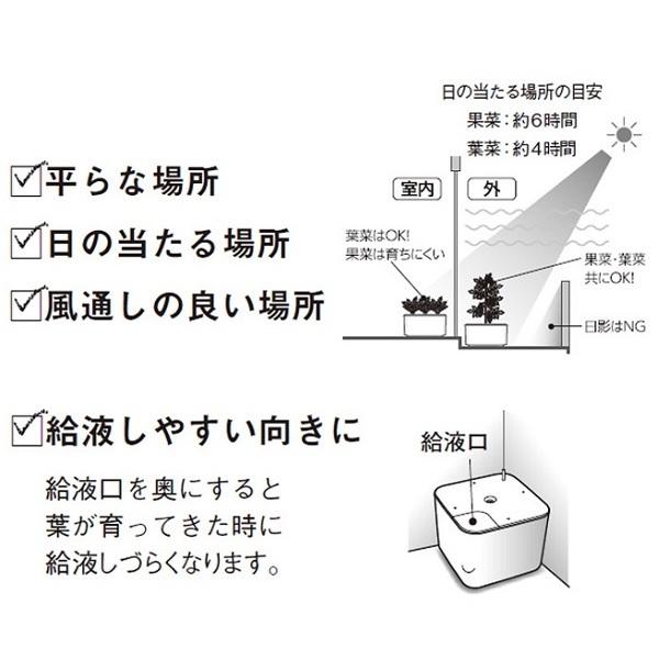 水耕栽培キット 家庭用 家庭菜園 水耕栽培 セット 室内 屋内