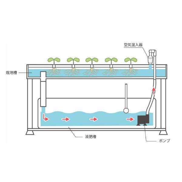 水耕栽培キット 家庭用 家庭菜園 水耕栽培 セット 液肥付き 室内 屋内