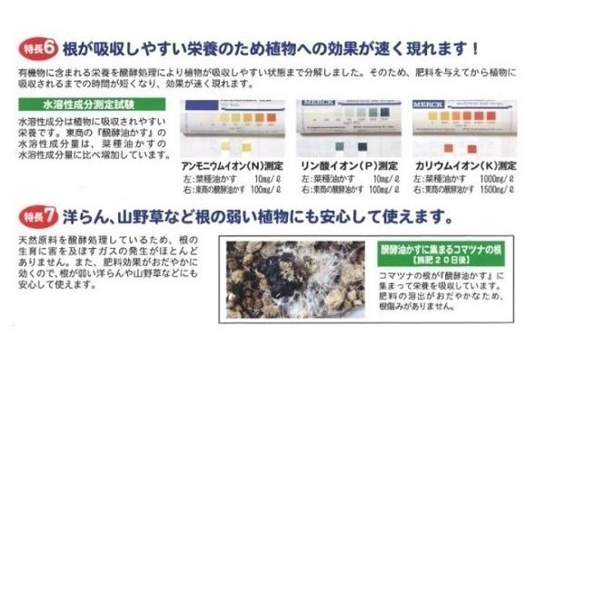 東商 醗酵油かす 粉末 10kg 肥料 油粕 油かす 有機肥料 追肥 花壇 花 花木 鉢 プランター 菜園 ガーデニング 盆栽 山野草 庭木 果樹 洋蘭 花肥 礼肥 寒肥 :verde-4905832-001057:S.S net - 通販 - Yahoo!ショッピング 東商 醗酵油かす 粉末 10kg 肥料 油粕 油かす 有機肥料 追肥 花壇 花 花木 鉢 プランター 菜園 ガーデニング 盆栽 山野草 庭木 果樹 洋蘭 花肥 礼肥 寒肥 :verde-4905832-001057:S.S net - 通販 - Yahoo!ショッピング