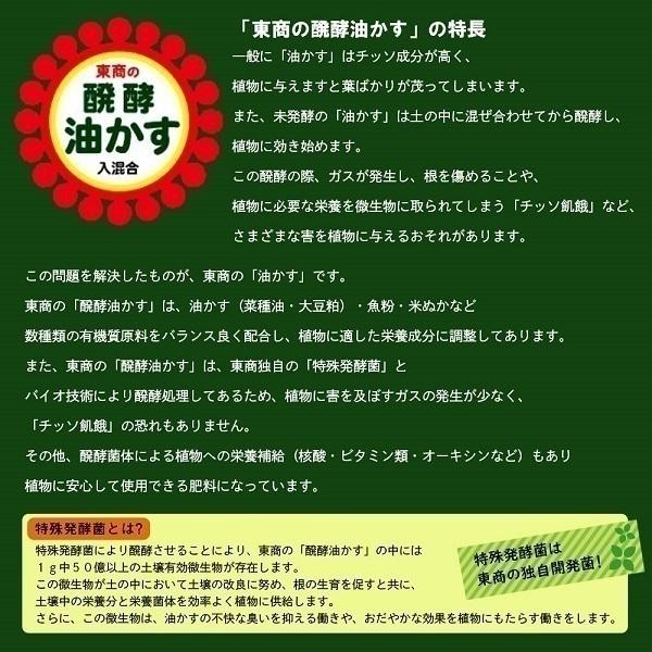 東商 醗酵油かす 大粒 10kg 肥料 油粕 油かす 有機肥料 追肥 花壇 花 花木 鉢 プランター 菜園 ガーデニング 盆栽 山野草 庭木 果樹 洋蘭 花肥 礼肥 寒肥｜ssnet｜04