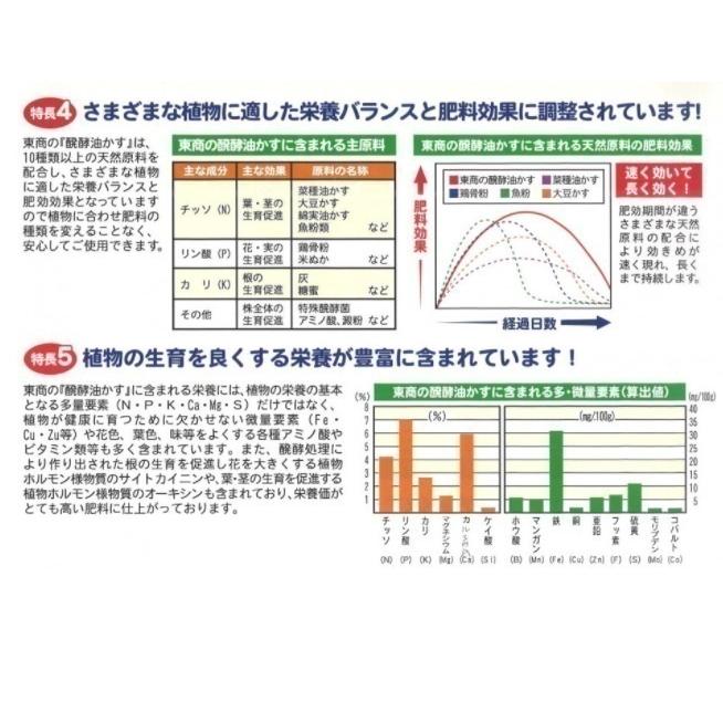 東商 醗酵油かす 大粒 4kg 肥料 油粕 油かす 有機肥料 追肥 花壇 花 花木 鉢 プランター 菜園 ガーデニング 盆栽 山野草 庭木 果樹 洋蘭 花肥 礼肥 寒肥 Verde S S Net 通販 Yahoo ショッピング