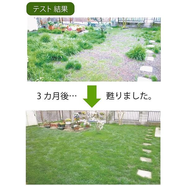 芝生 土壌改良材 芝生がまくだけで甦る 14L×2個セット 堆肥 園芸用土 自然応用科学｜ssnet｜05