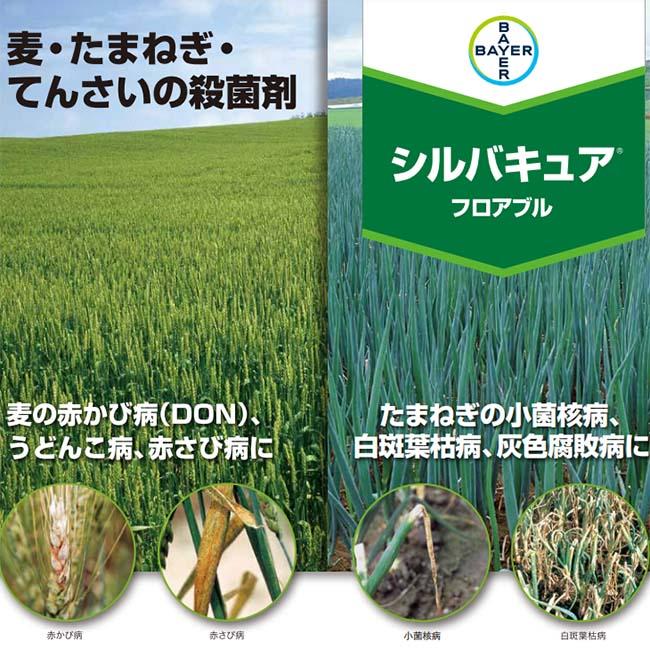 シルバキュアフロアブル 農薬 – シルバキュアフロアブル ファームトップ – DMPME