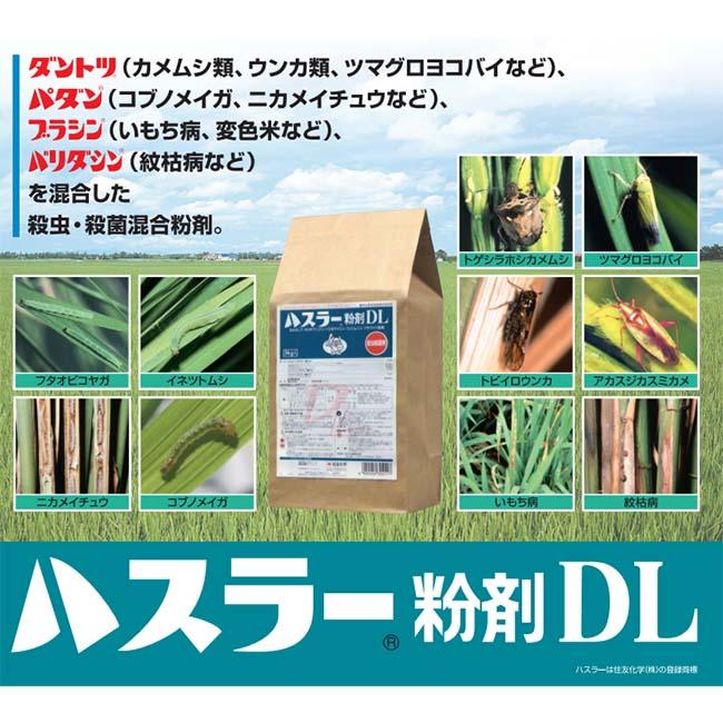 殺虫殺菌剤 ハスラー粉剤DL 3kg いもち病 紋枯病 水稲害虫 対策 薬剤 農薬 住友化学 【2026年10月期限切れ】 : S.S net ...