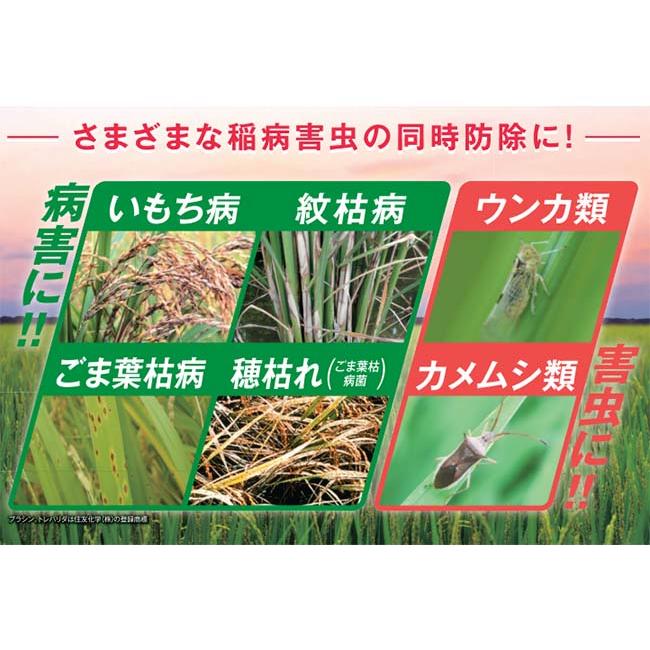 中毒百科 改訂第2版: 事例・病態・治療 工業製品/ガス/農薬/医療品/動植物 中毒百科 改訂第2版: 事例・病態・治療 工業製品/ガス/農薬/医療