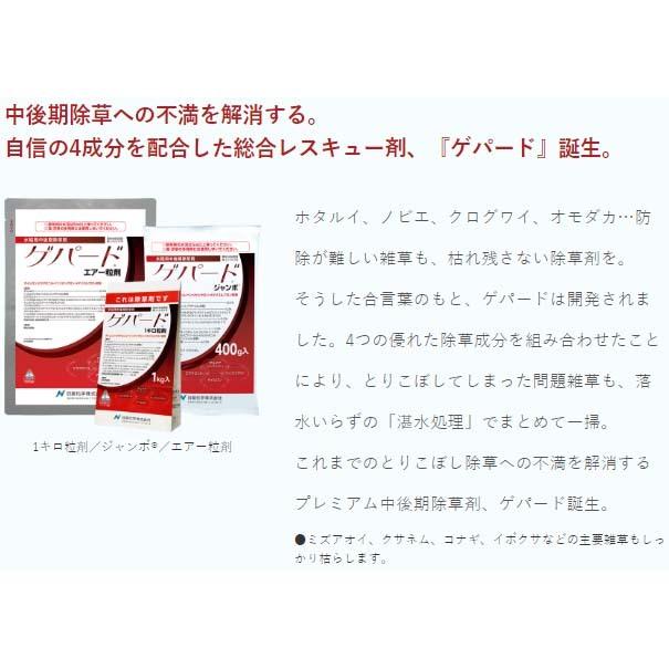 水稲除草剤 ゲパード 1キロ粒剤 1kg入 中後期除草剤 田んぼ 水田 雑草対策 防除 農薬 薬品 日産化学 Verde S S Net 通販 Yahoo ショッピング