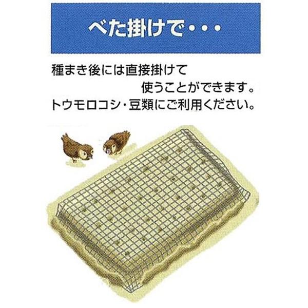 鳥よけネット 防鳥ネット 2m×4m グリーン 緑 10mm角目 ハトよけ