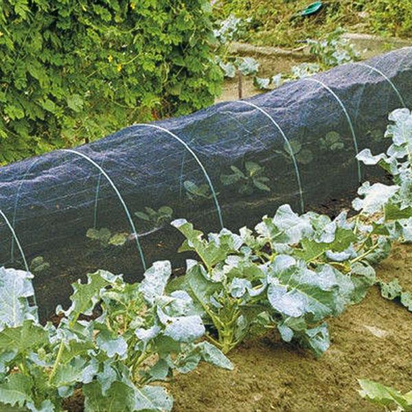 害虫対策ネット 防虫ネット 黒 1.8m×5m 約1mm目合 遮光率40% 夏用 軽量