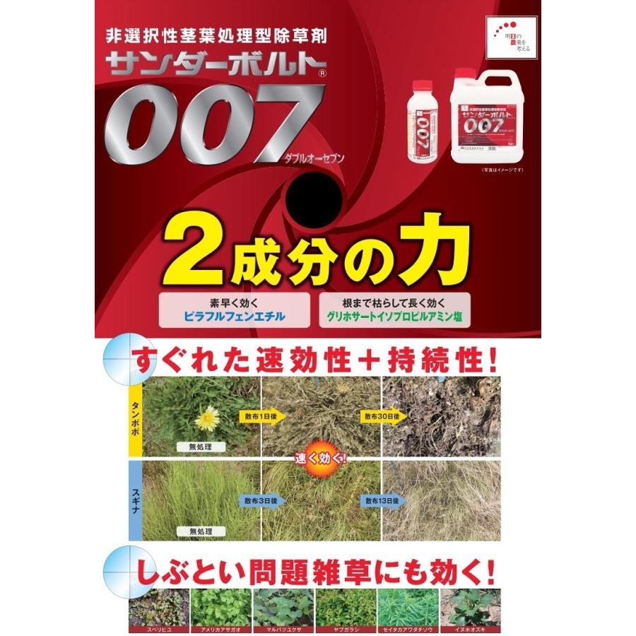 除草剤 強力 サンダーボルト007 20L 5L×4本セット 噴霧器 散布機 液剤 液体 希釈 日本農薬｜ssnet｜02