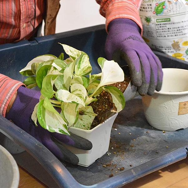 培養土 観葉植物の土 5L 土 観葉植物 鉢植え 元肥入り 室内 屋内 家庭用 園芸 ガーデニング 花ごころ｜ssnet｜04