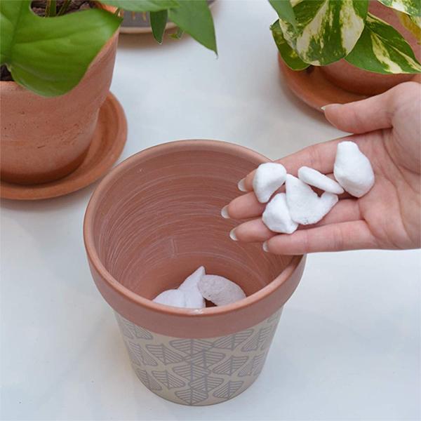 花ごころ 鉢底石 軽石 白 2L きれいな鉢底石 ホワイトストーン 清潔