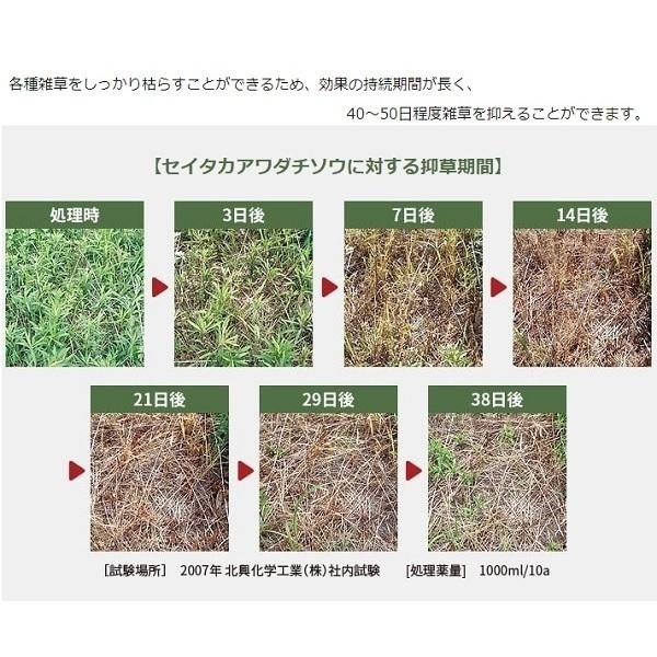 特別オファー ザクサ液剤 除草剤 除草液 2L 2000ml 希釈タイプ 散布 噴霧 畑 果園 畦 水田 稲 雑草 日陰 庭 駐車場 墓 meiji