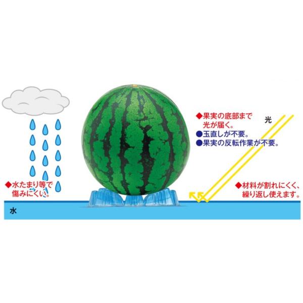 果実マット スイカマット 50枚入り 青 赤 緑 かぼちゃ メロン マット